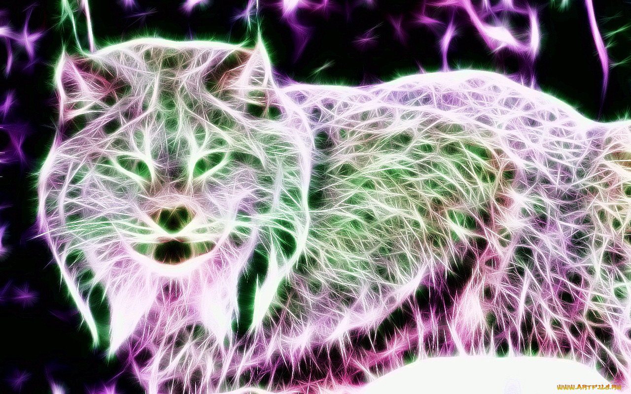 3, , animals, 
